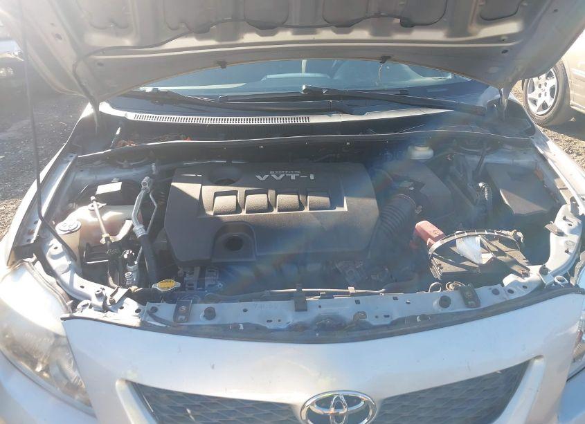 Photo 10 of 2010 Toyota Corolla S (VIN 2T1BU4EE9AC303388)