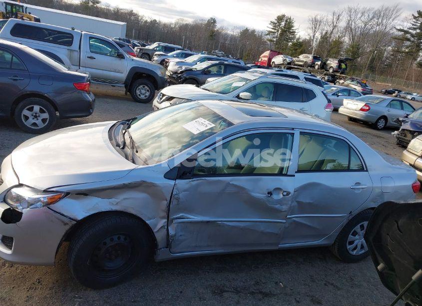 Photo 14 of 2010 Toyota Corolla LE (VIN 2T1BU4EE9AC307313)