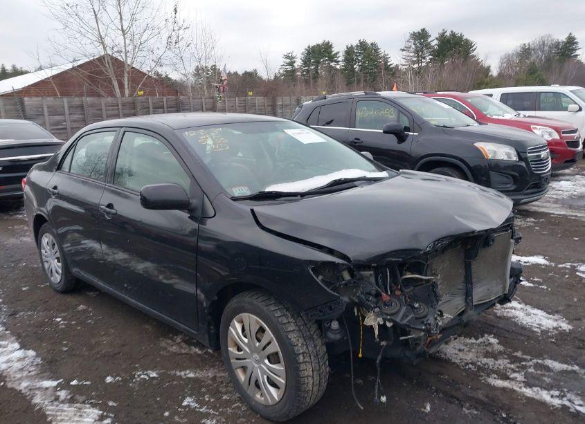 2010 Toyota Corolla LE (VIN 2T1BU4EE9AC315833) main photo