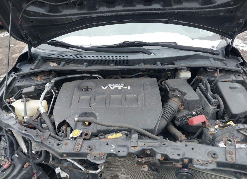 Photo 10 of 2010 Toyota Corolla LE (VIN 2T1BU4EE9AC315833)