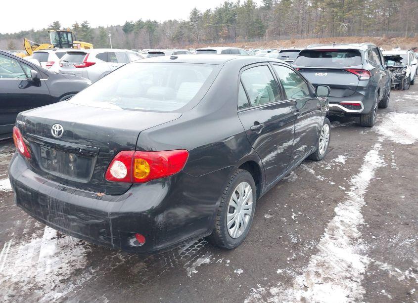 Photo 4 of 2010 Toyota Corolla LE (VIN 2T1BU4EE9AC315833)