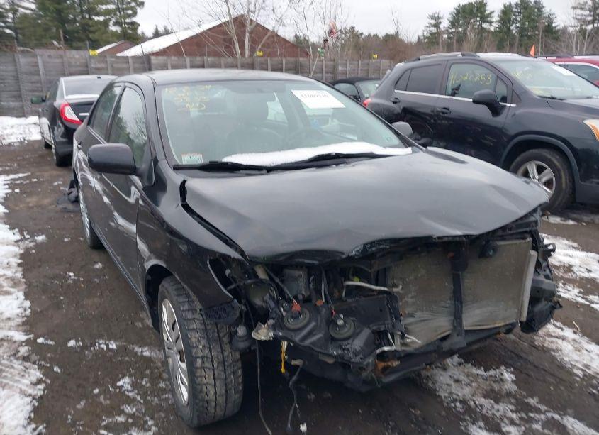 Photo 6 of 2010 Toyota Corolla LE (VIN 2T1BU4EE9AC315833)