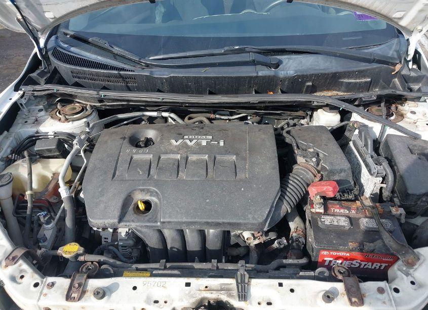 Photo 10 of 2010 Toyota Corolla LE/S/XLE (VIN 2T1BU4EE9AC323298)