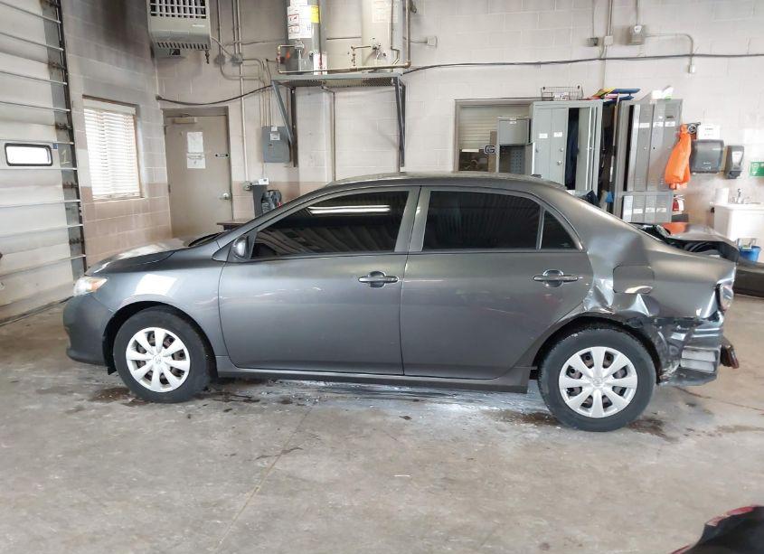 Photo 14 of 2010 Toyota Corolla LE (VIN 2T1BU4EE9AC391116)