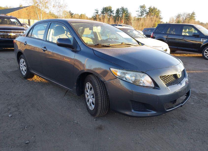2010 Toyota Corolla LE (VIN 2T1BU4EE9AC402499) main photo