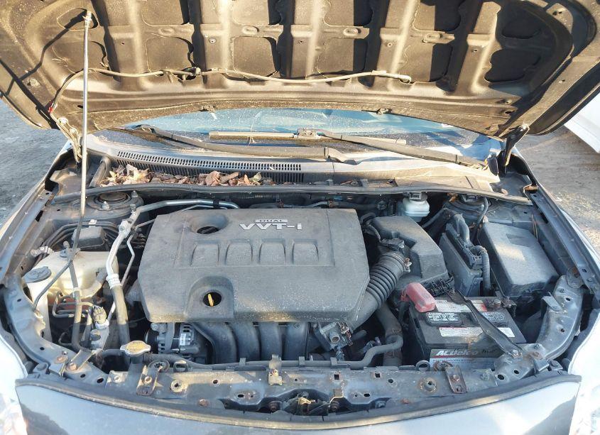 Photo 10 of 2010 Toyota Corolla LE (VIN 2T1BU4EE9AC402499)