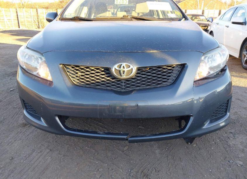 Photo 12 of 2010 Toyota Corolla LE (VIN 2T1BU4EE9AC402499)
