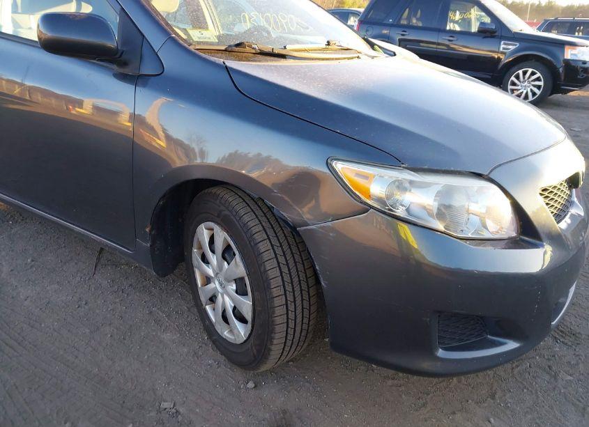 Photo 13 of 2010 Toyota Corolla LE (VIN 2T1BU4EE9AC402499)