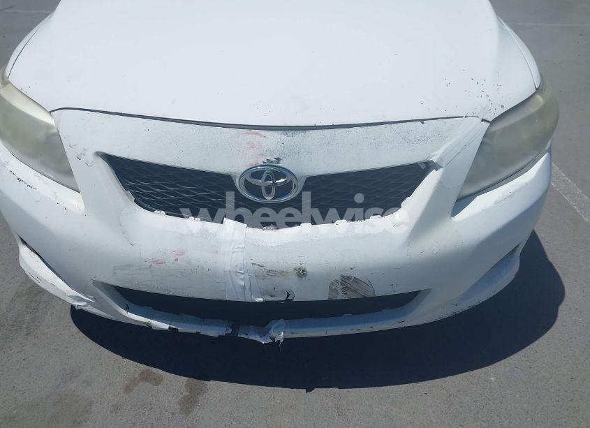 Photo 12 of 2010 Toyota Corolla LE (VIN 2T1BU4EE9AC433493)