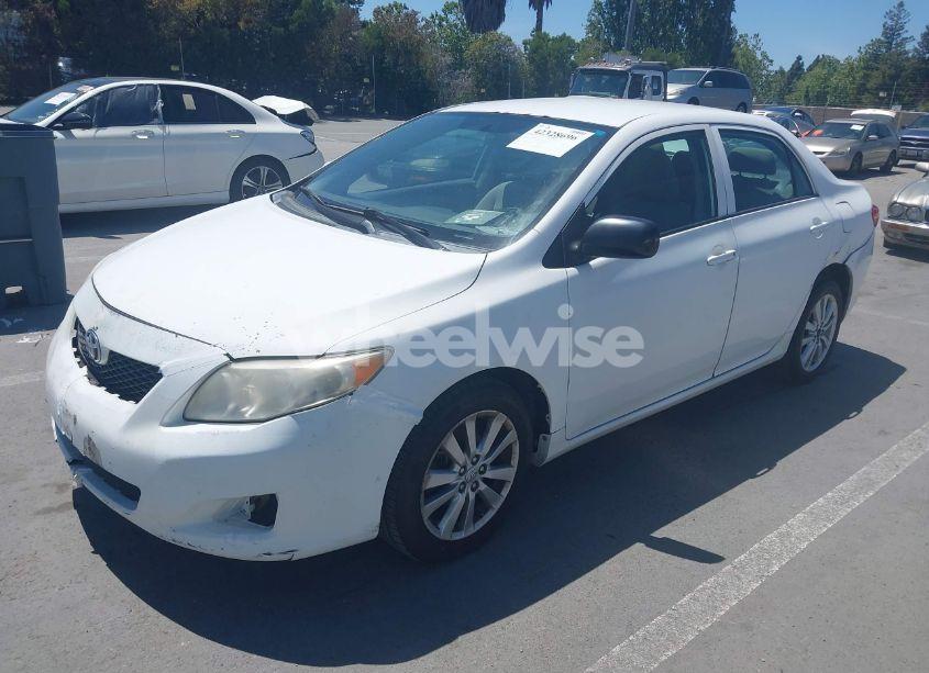 Photo 2 of 2010 Toyota Corolla LE (VIN 2T1BU4EE9AC433493)