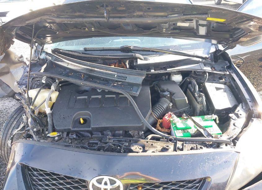 Photo 10 of 2010 Toyota Corolla S (VIN 2T1BU4EE9AC445613)