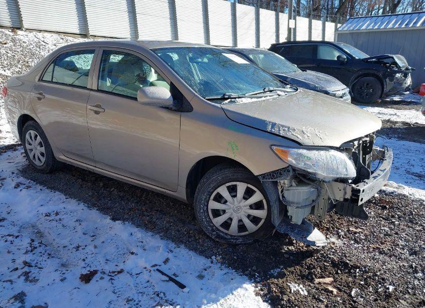 2010 Toyota Corolla LE (VIN 2T1BU4EE9AC460628) main photo