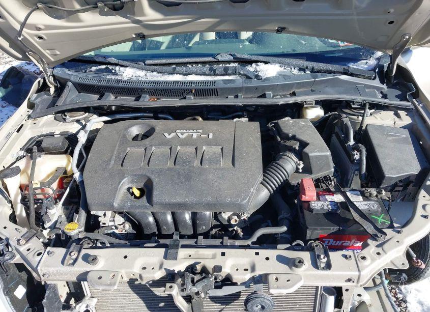 Photo 10 of 2010 Toyota Corolla LE (VIN 2T1BU4EE9AC460628)