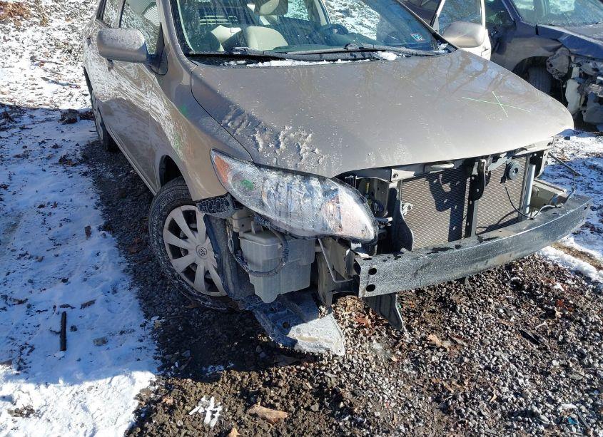 Photo 6 of 2010 Toyota Corolla LE (VIN 2T1BU4EE9AC460628)