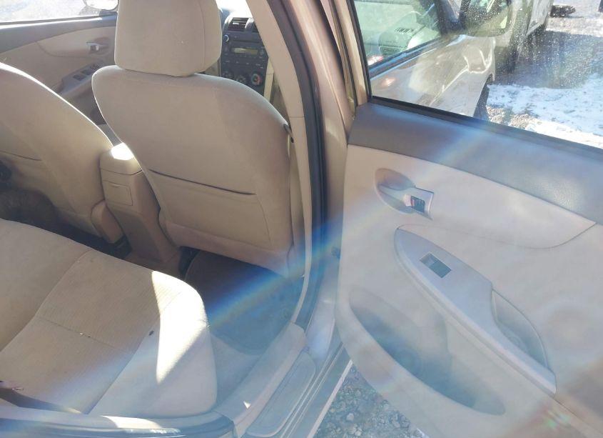 Photo 8 of 2010 Toyota Corolla LE (VIN 2T1BU4EE9AC460628)