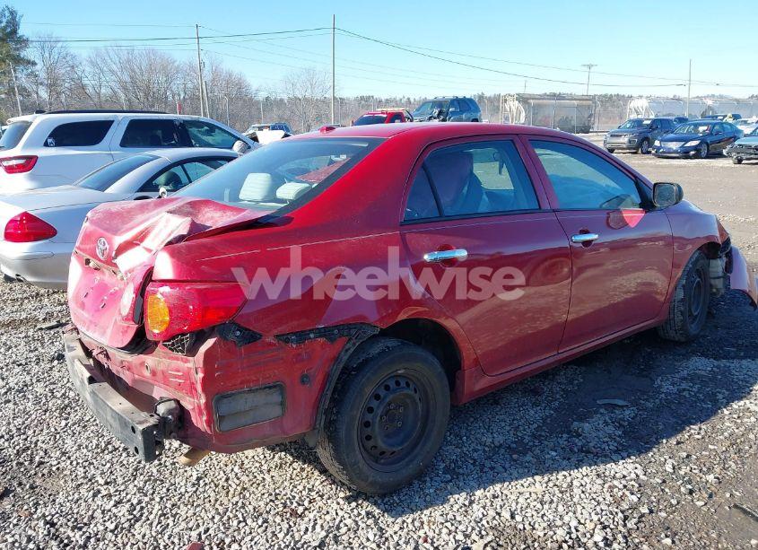 Photo 4 of 2010 Toyota Corolla LE (VIN 2T1BU4EE9AC462945)