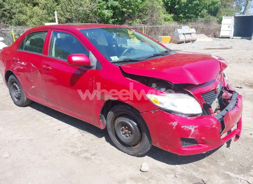 2010 Toyota Corolla LE (VIN 2T1BU4EE9AC474318) main photo