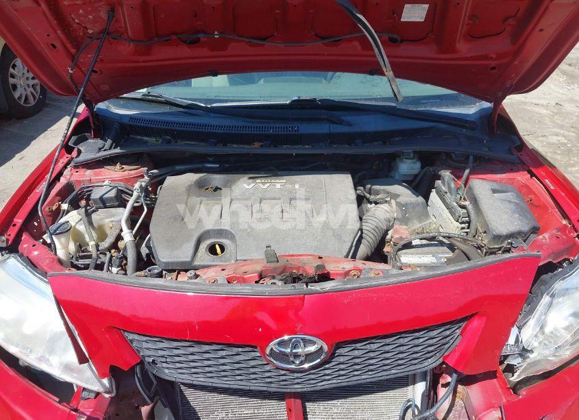 Photo 10 of 2010 Toyota Corolla LE (VIN 2T1BU4EE9AC474318)