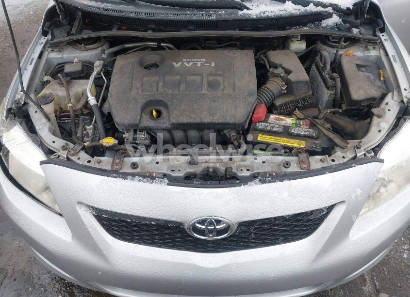Photo 10 of 2010 Toyota Corolla LE (VIN 2T1BU4EE9AC482886)