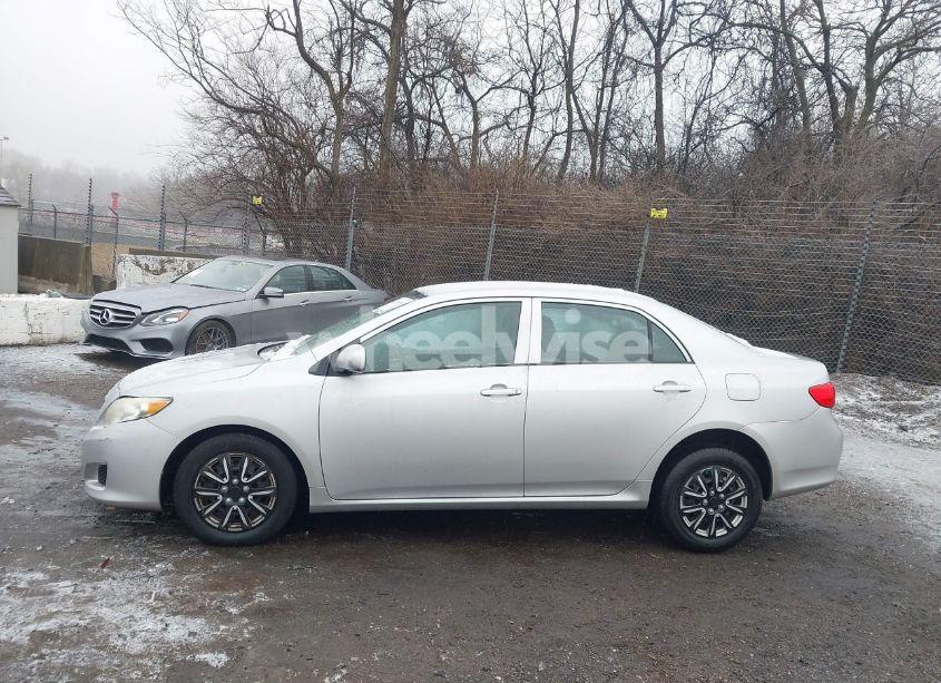 Photo 14 of 2010 Toyota Corolla LE (VIN 2T1BU4EE9AC482886)