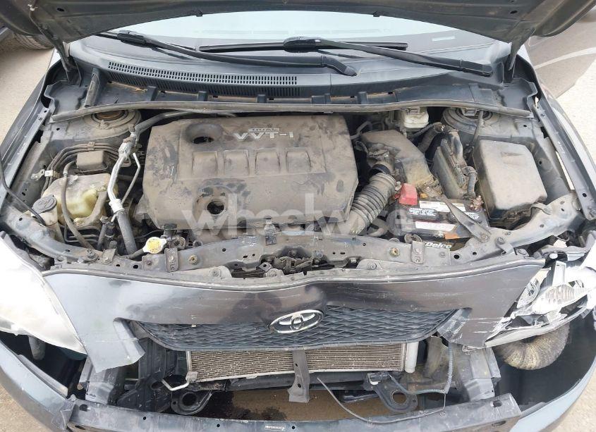 Photo 10 of 2010 Toyota Corolla LE (VIN 2T1BU4EE9AC487330)