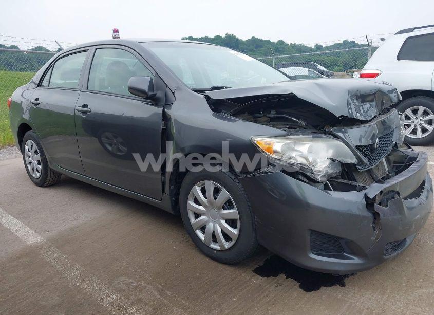 Photo 12 of 2010 Toyota Corolla LE (VIN 2T1BU4EE9AC487330)