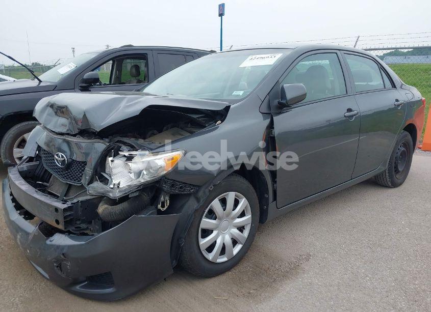 Photo 13 of 2010 Toyota Corolla LE (VIN 2T1BU4EE9AC487330)