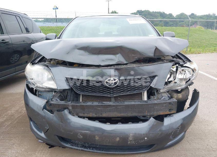 Photo 6 of 2010 Toyota Corolla LE (VIN 2T1BU4EE9AC487330)
