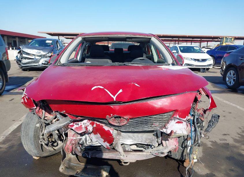 Photo 12 of 2010 Toyota Corolla S (VIN 2T1BU4EE9AC500688)