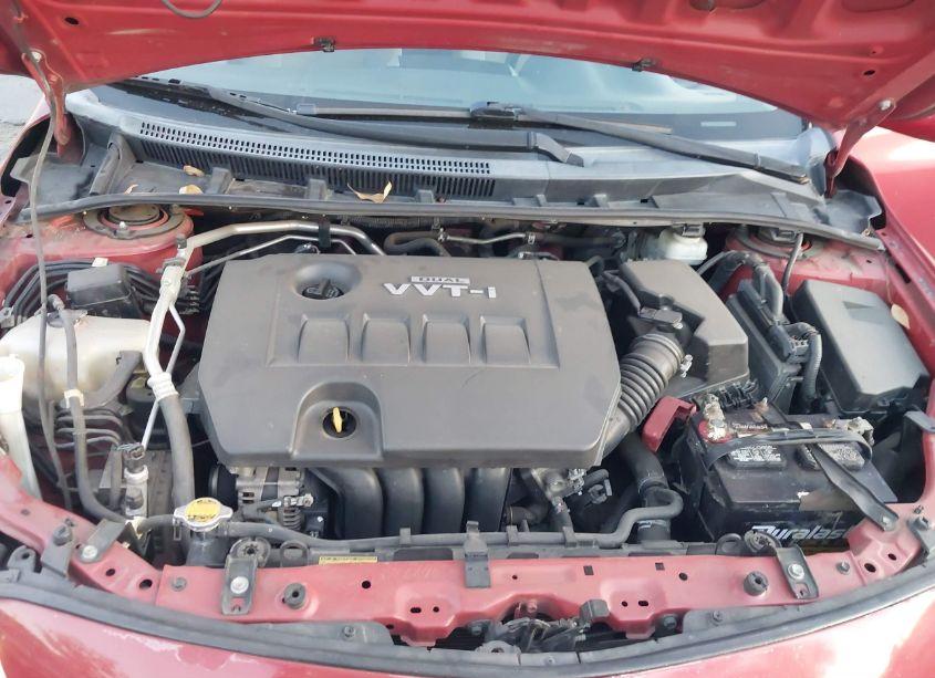 Photo 10 of 2010 Toyota Corolla LE (VIN 2T1BU4EE9AC523856)