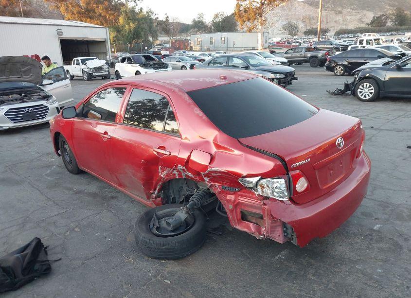 Photo 3 of 2010 Toyota Corolla LE (VIN 2T1BU4EE9AC523856)