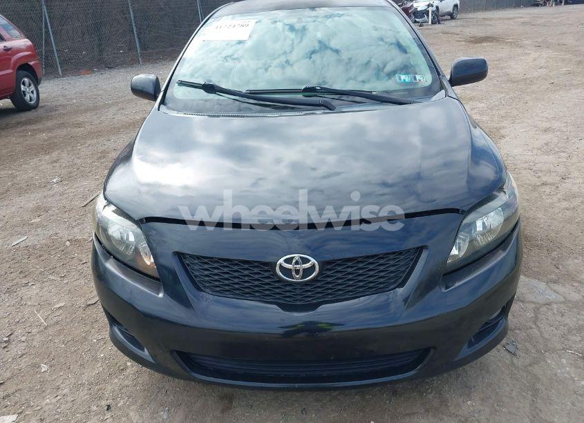 Photo 6 of 2010 Toyota Corolla LE (VIN 2T1BU4EE9AC525431)