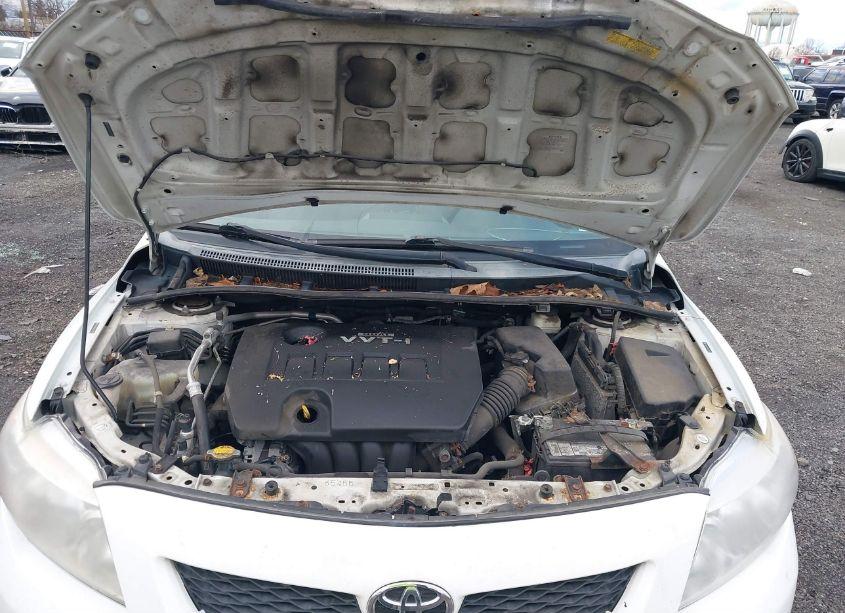 Photo 10 of 2010 Toyota Corolla LE (VIN 2T1BU4EE9AC531679)