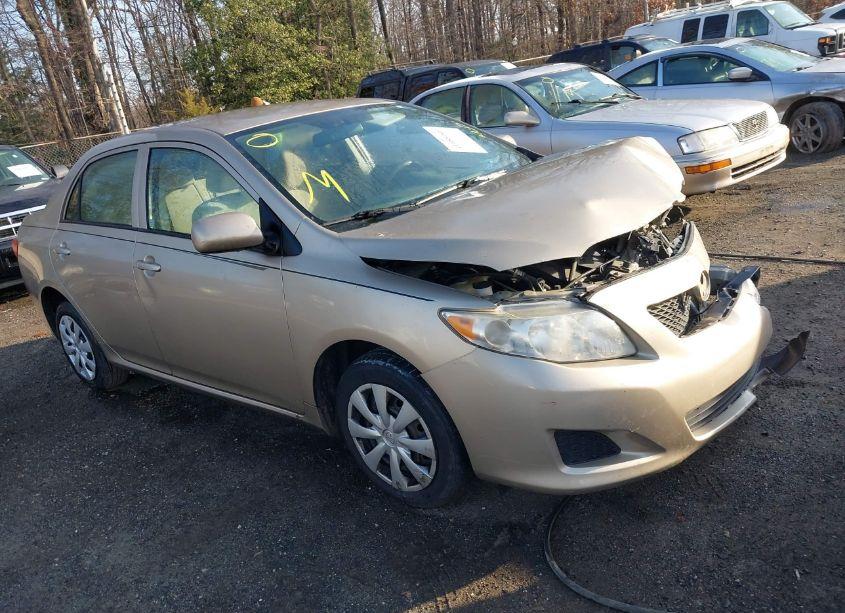 2010 Toyota Corolla LE (VIN 2T1BU4EE9AC533531) main photo