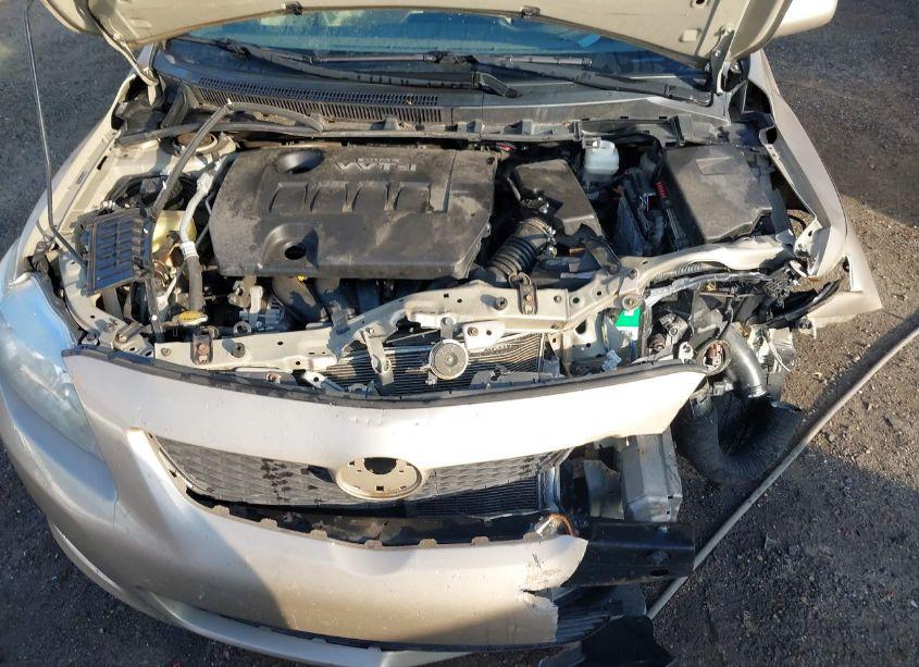 Photo 10 of 2010 Toyota Corolla LE (VIN 2T1BU4EE9AC533531)