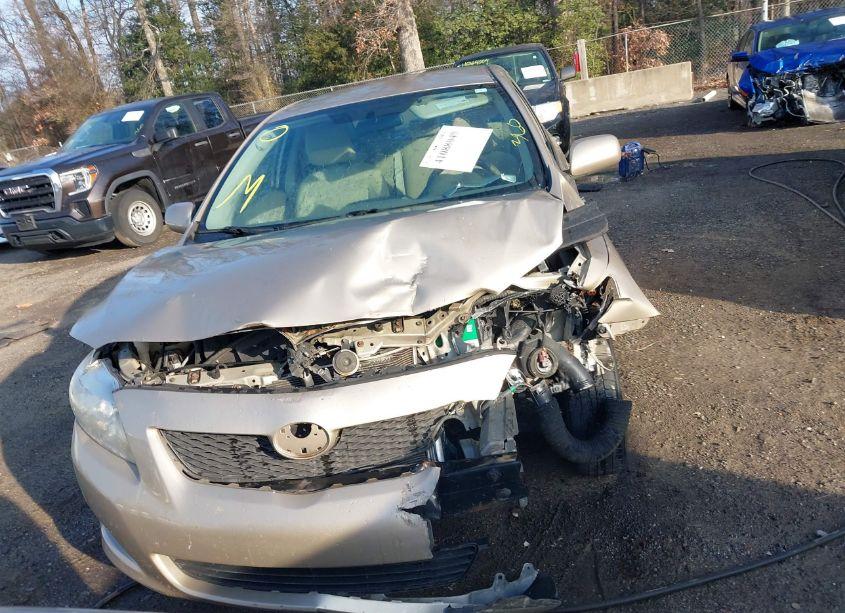 Photo 12 of 2010 Toyota Corolla LE (VIN 2T1BU4EE9AC533531)