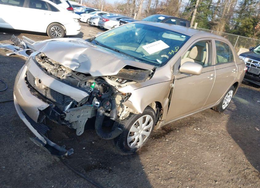 Photo 2 of 2010 Toyota Corolla LE (VIN 2T1BU4EE9AC533531)