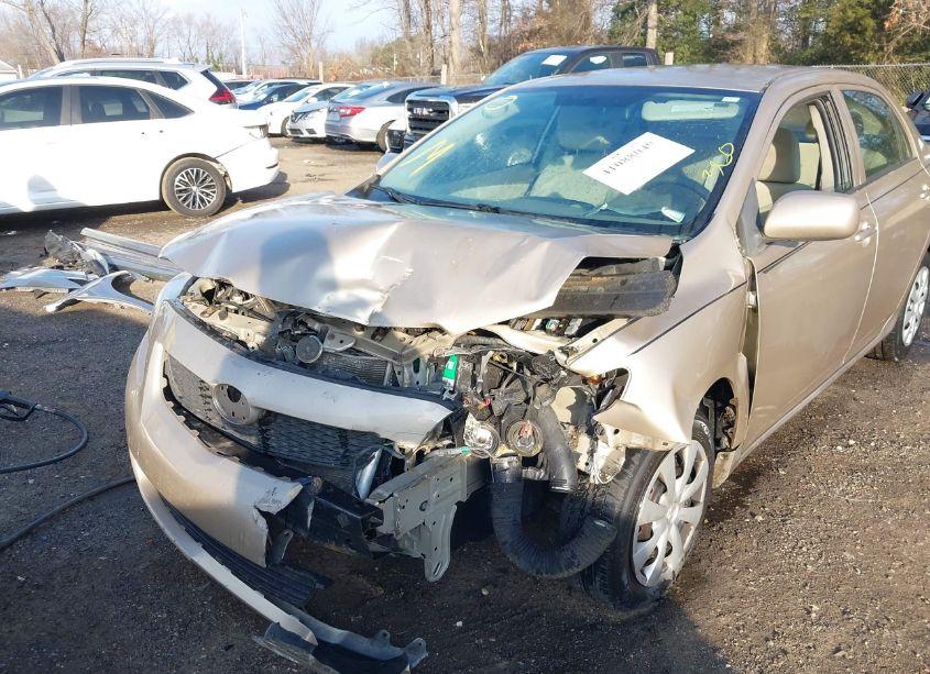 Photo 6 of 2010 Toyota Corolla LE (VIN 2T1BU4EE9AC533531)