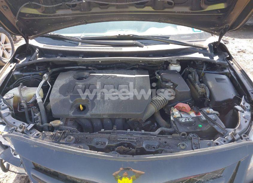 Photo 10 of 2011 Toyota Corolla S (VIN 2T1BU4EE9BC735576)