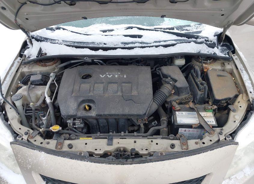 Photo 10 of 2010 Toyota Corolla LE (VIN 2T1BU4EEXAC225798)