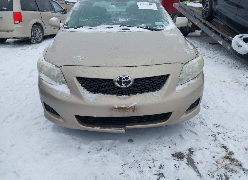 Photo 14 of 2010 Toyota Corolla LE (VIN 2T1BU4EEXAC225798)