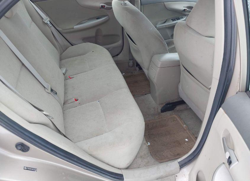 Photo 8 of 2010 Toyota Corolla LE (VIN 2T1BU4EEXAC225798)