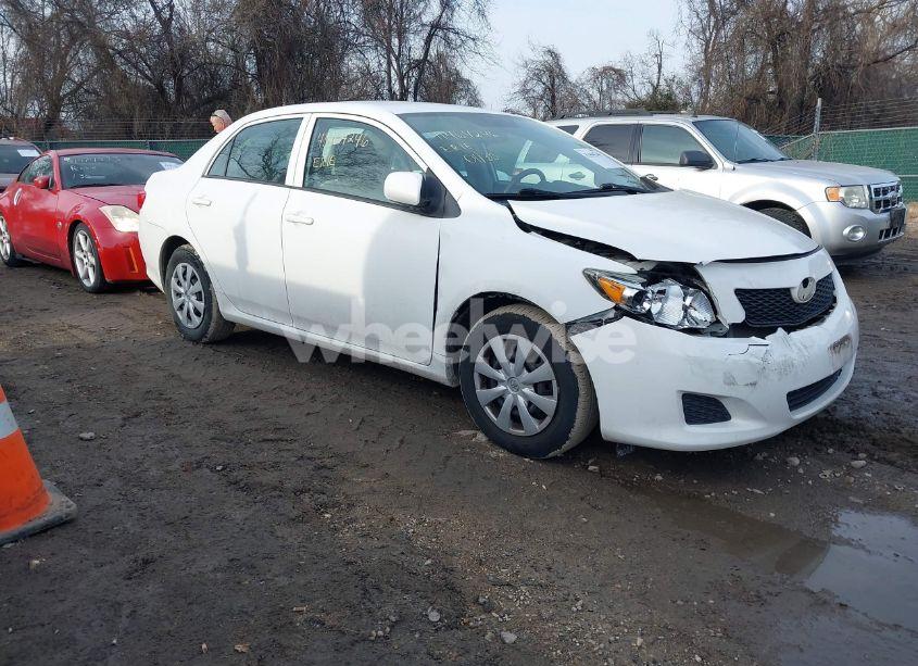 2010 Toyota Corolla LE (VIN 2T1BU4EEXAC246652) main photo