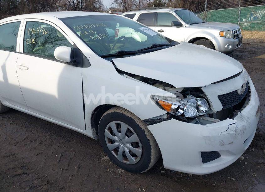 Photo 13 of 2010 Toyota Corolla LE (VIN 2T1BU4EEXAC246652)