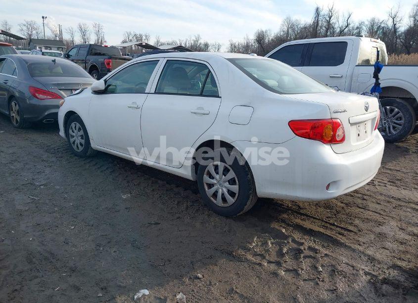 Photo 3 of 2010 Toyota Corolla LE (VIN 2T1BU4EEXAC246652)