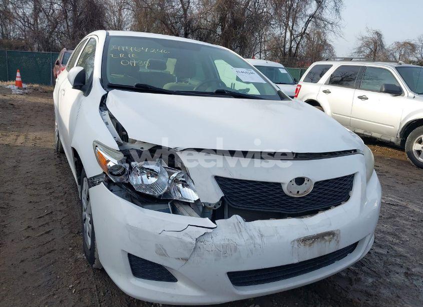 Photo 6 of 2010 Toyota Corolla LE (VIN 2T1BU4EEXAC246652)