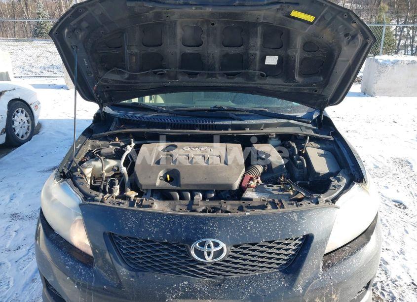 Photo 10 of 2010 Toyota Corolla XLE (VIN 2T1BU4EEXAC248594)