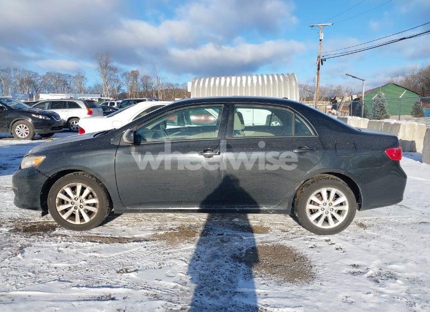 Photo 14 of 2010 Toyota Corolla XLE (VIN 2T1BU4EEXAC248594)