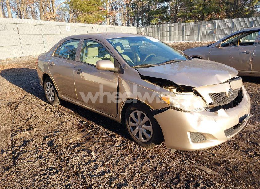2010 Toyota Corolla LE (VIN 2T1BU4EEXAC248627) main photo