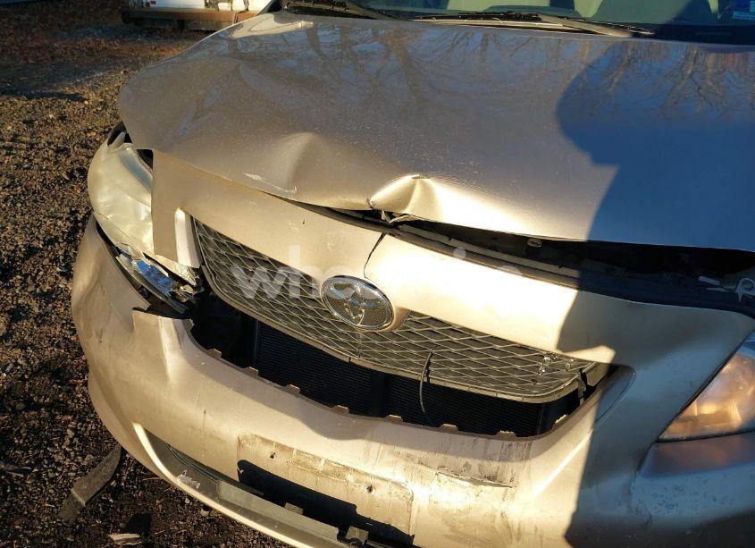 Photo 6 of 2010 Toyota Corolla LE (VIN 2T1BU4EEXAC248627)